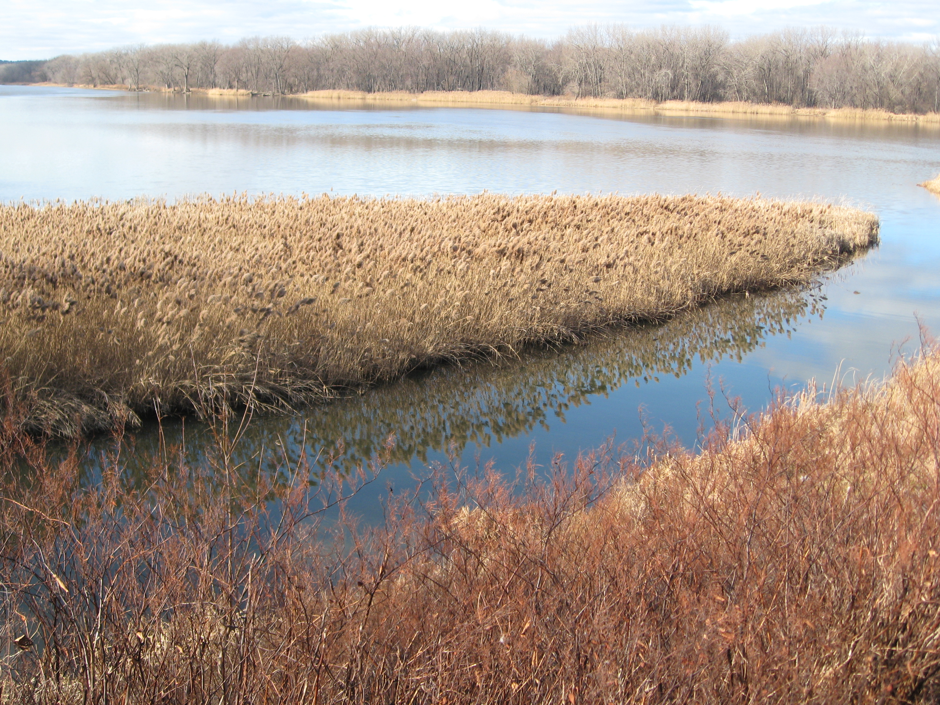 Mohawk River: beauty in browns and blues.