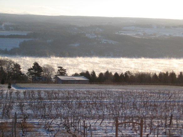 Finger Lakes vineyard, with Seneca Lake steaming on a 5 degree below zero morning.