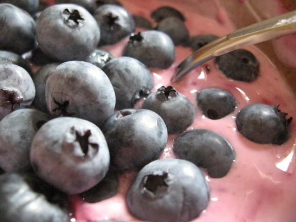This season's blueberries, floating on top of home-made blackberry preserves blended into Greek yogurt.