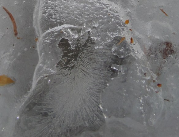 Movement of water captured as it froze.