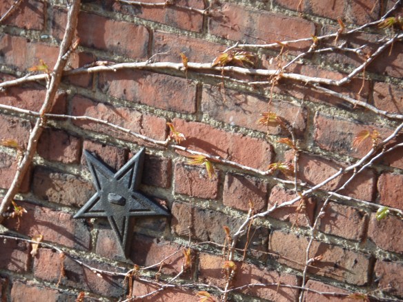 The building kitty-corner to my kitchen window.