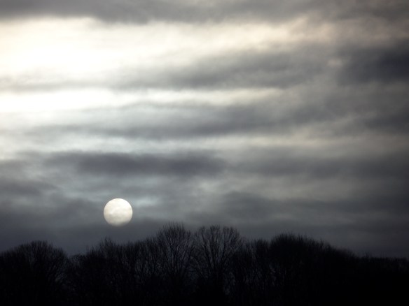 February morning sun over the hill.