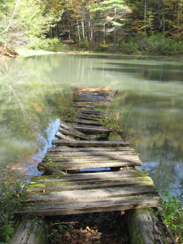 Monk's Pond at Kripalu, the fall when we were together last.
