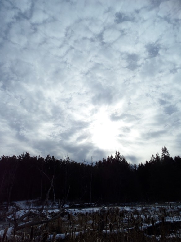 Winter sun over side of Pickerel Ponds, Partridge Run Wildlife Management Area.