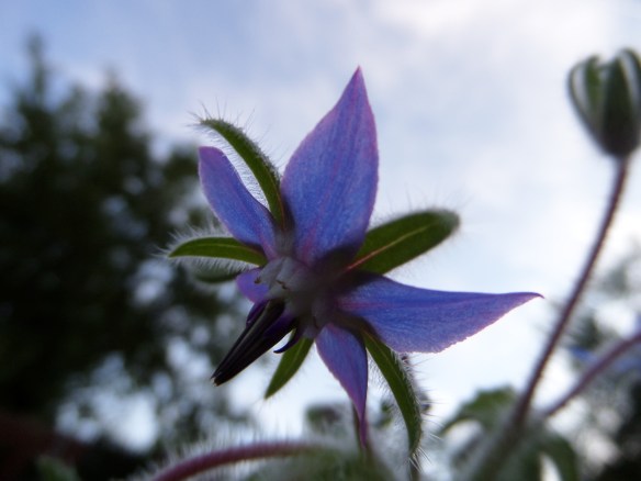 Darkness falls, but the sun will return next summer.