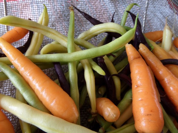 Later summer bounty.