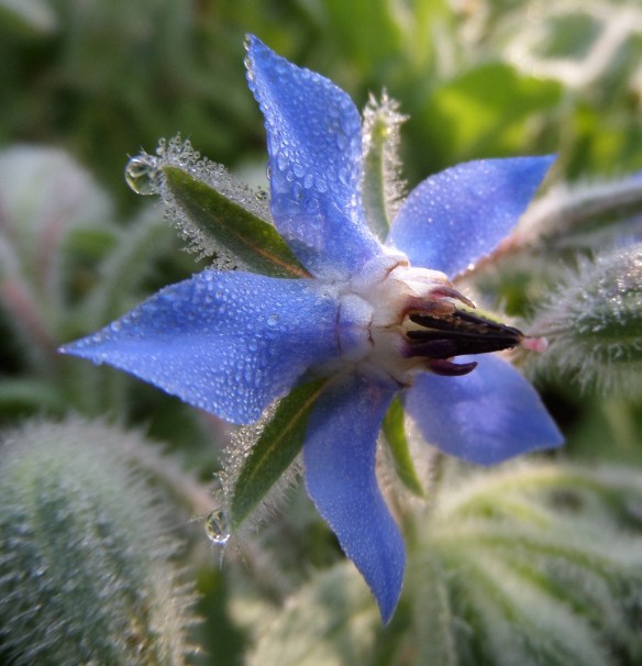 Makes my heart ache.