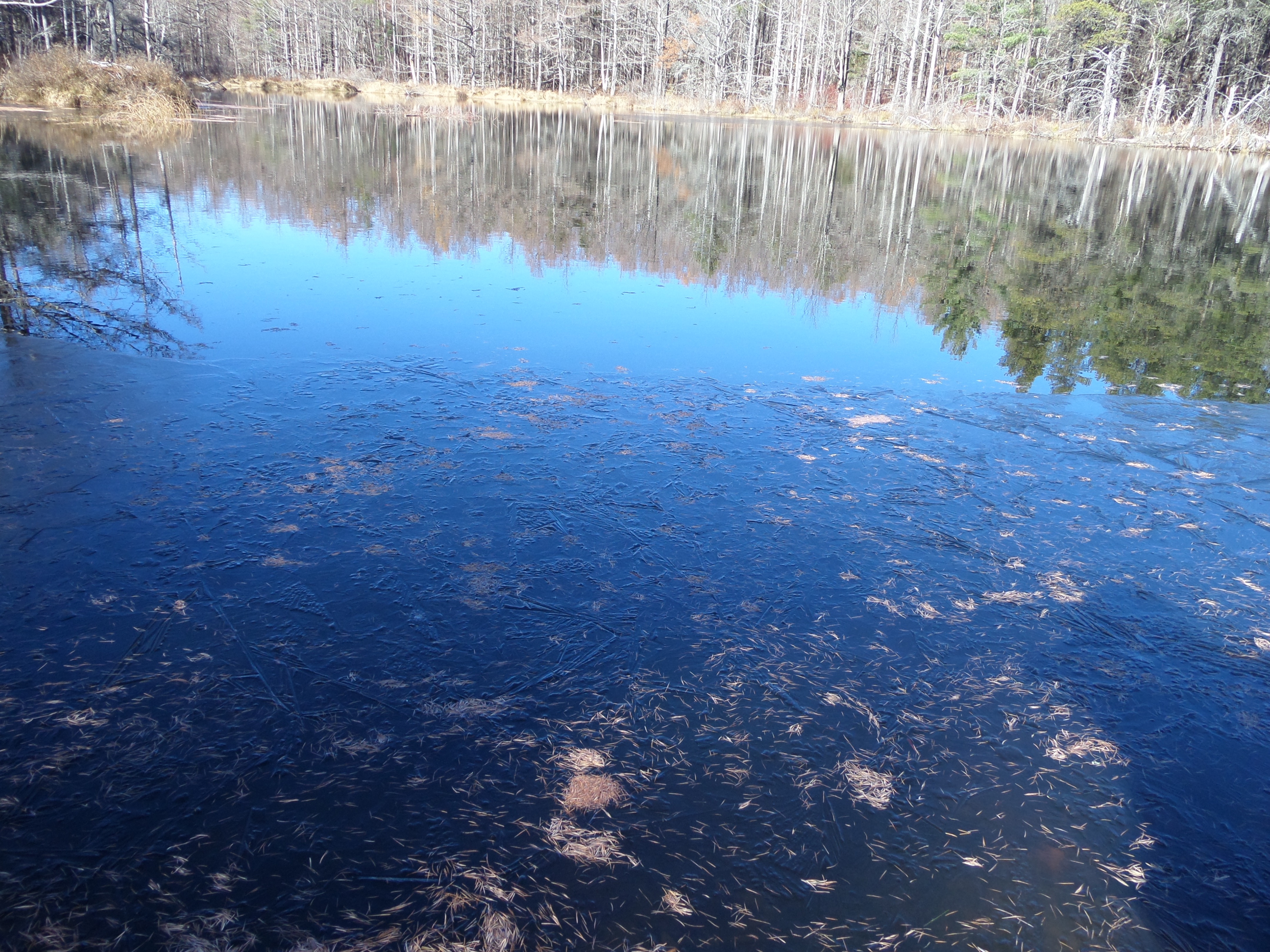 SAMSUNG CAMERA PICTURES