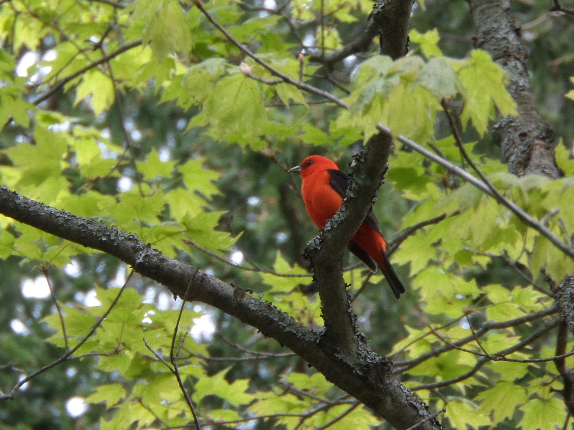 SAMSUNG CAMERA PICTURES