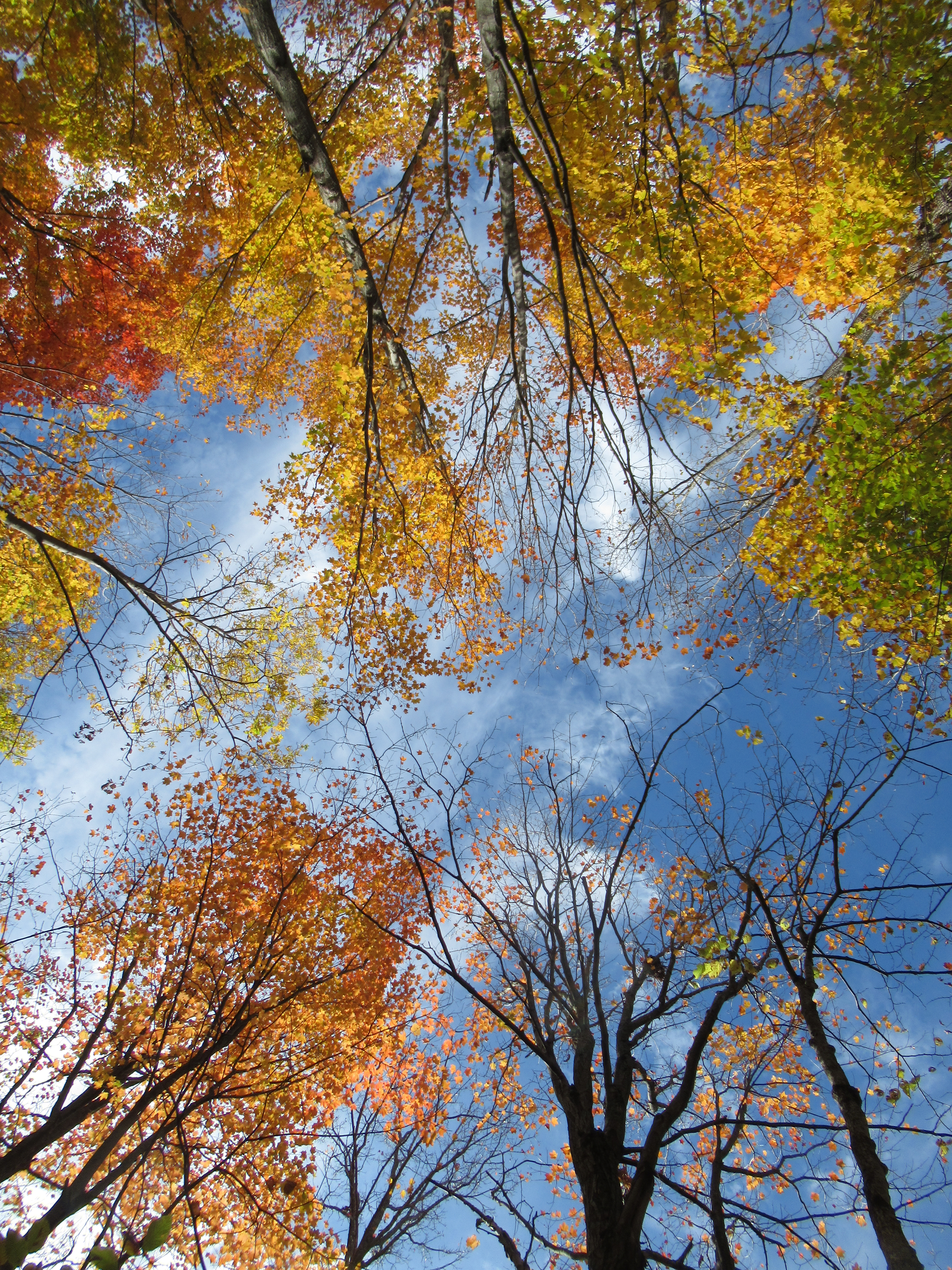 IMG_1284 Copyright Of-the-Essence Blog 2019