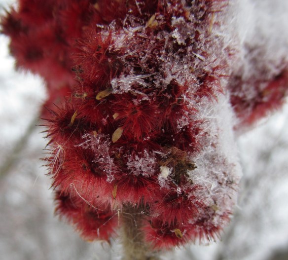 IMG_2009_Version 2.jpg, copyright Of-the-Essence Blog 2019