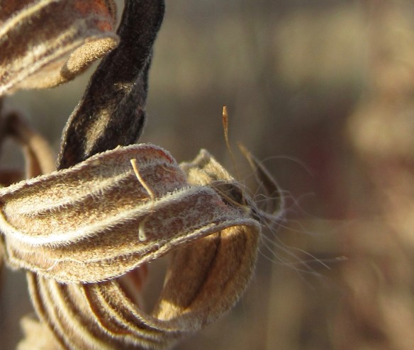 IMG_1961_Version 3.jpg copyright Of-The-Essence Blog 2020