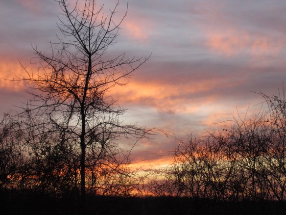 IMG_2184 copyright of-the-essence blog 2020