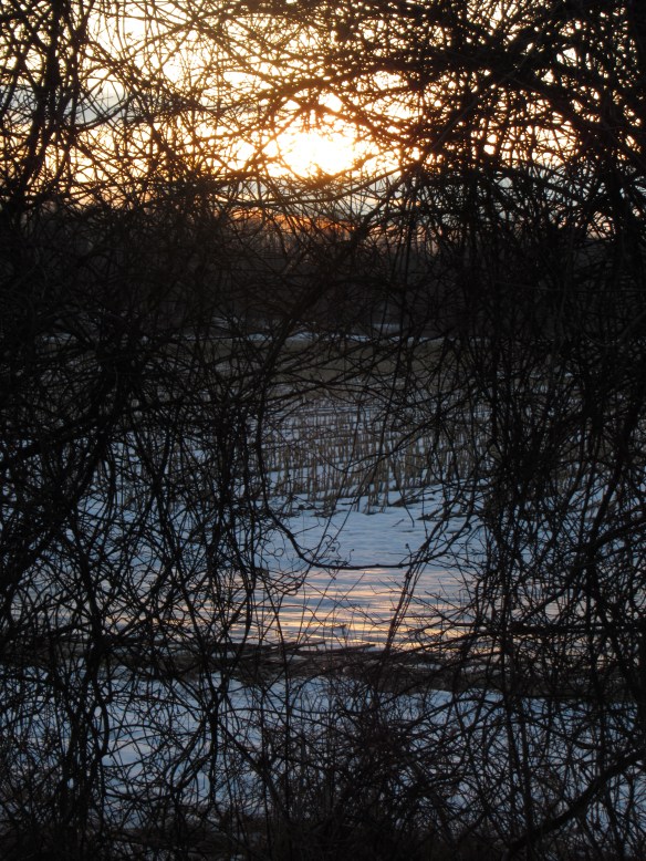 IMG_2210 copyright of-the-essence blog 2020