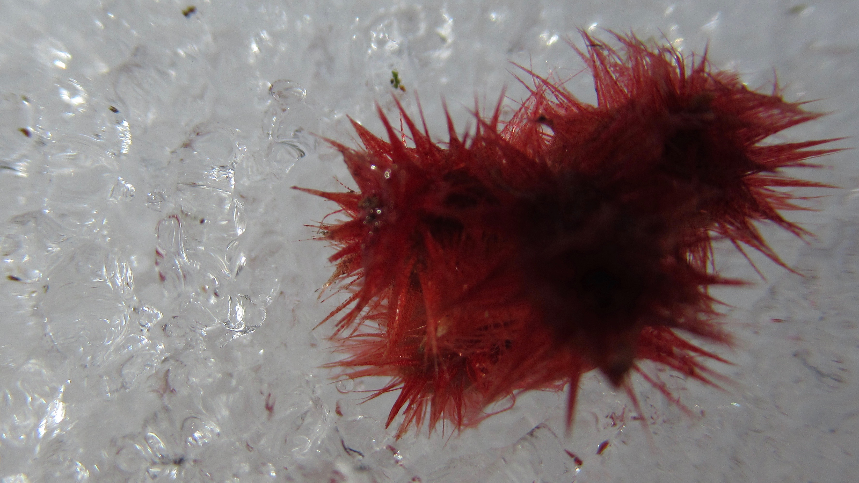 IMG_2281 copyright of the essence blog 2020