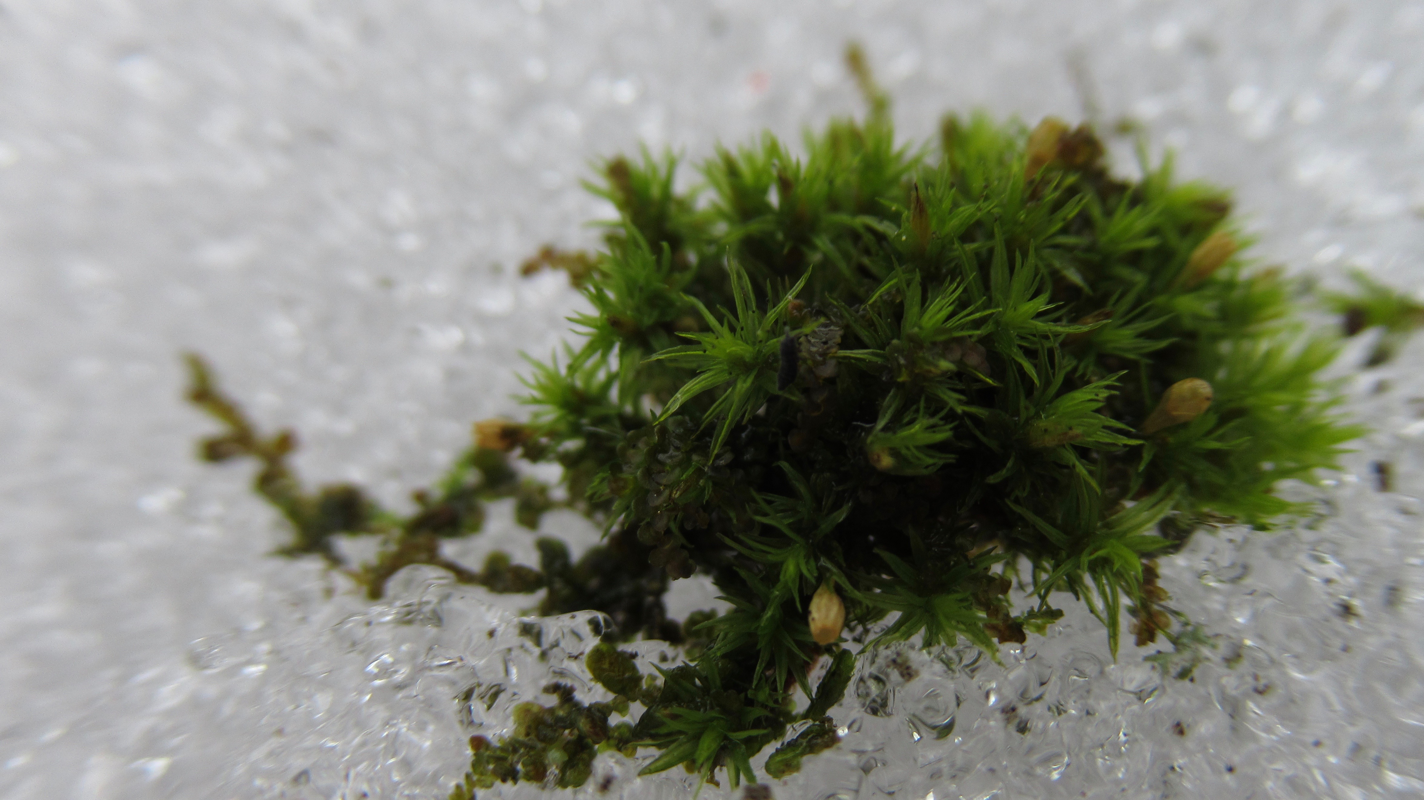 IMG_2314 copyright of-the-essence blog 2020