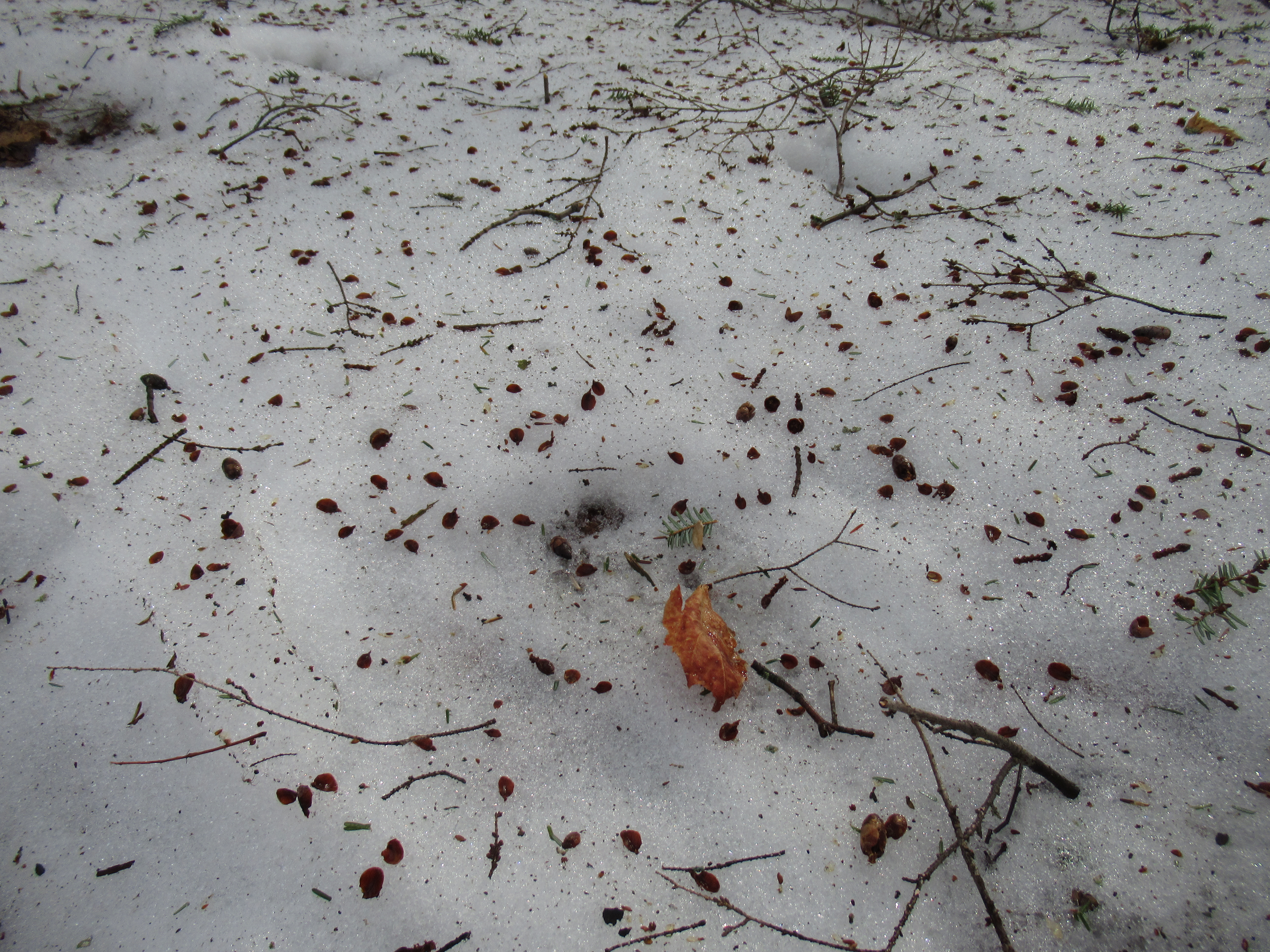 IMG_2331 copyright of-the-essence blog 2020