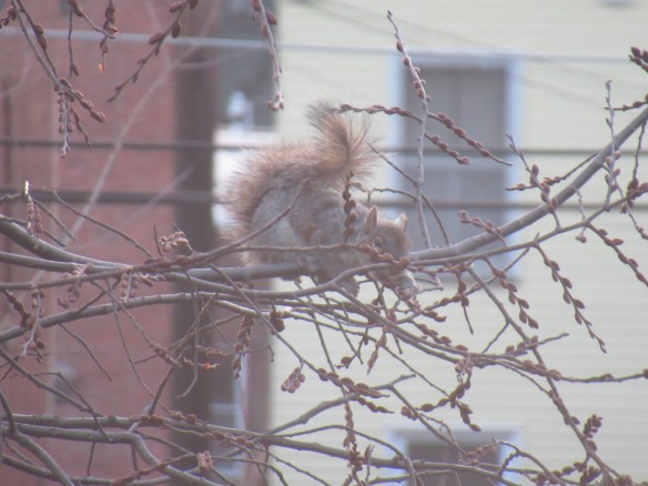 IMG_2529 copyright Of-the-Essence Blog 2020