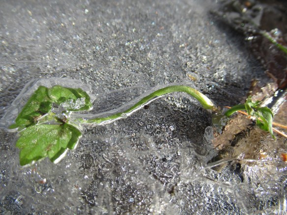 IMG_2618 copyright Of-the-Essence Blog 2020