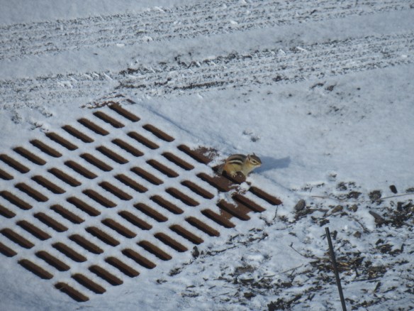 IMG_2677 copyright Of-the-Essence Blog