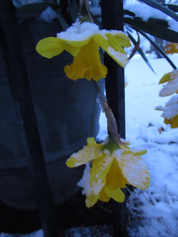 IMG_3181 copyright Of-the-Essence Blog 2020