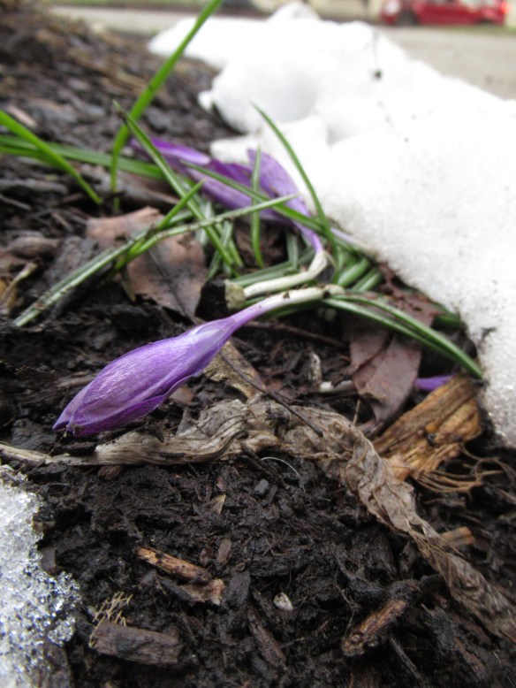 IMG_3235 copyright Of-the-Essence Blog 2020