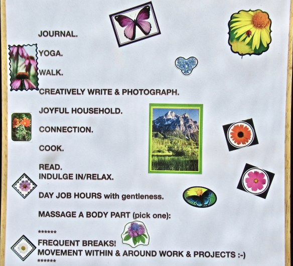 IMG_3613 2 copyright of-the-essence blog 2020